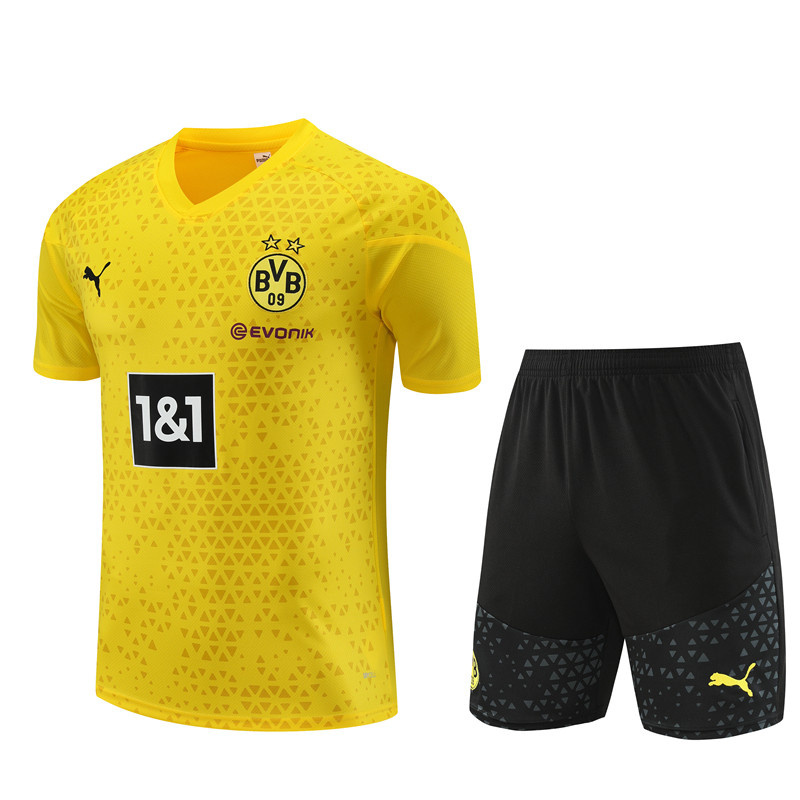 AAA Quality Dortmund 23/24 Yellow/Black Training Kit Jerseys